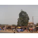 Harmattan dust.JPG